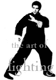 art_of_fighting.gif (25605 bytes)